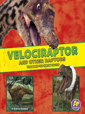 cover image of Velociraptor and Other Raptors